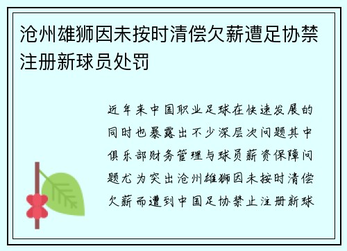沧州雄狮因未按时清偿欠薪遭足协禁注册新球员处罚
